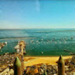 Meet your Posher, Kyle